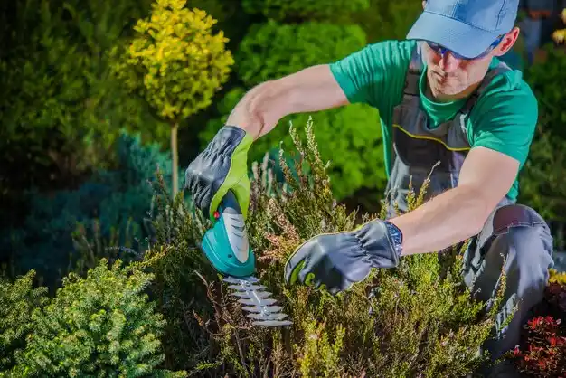 landscaping services West Yarmouth